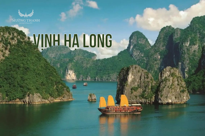 images/news/2025/07/original/vinh-ha-long_1751328667.jpg